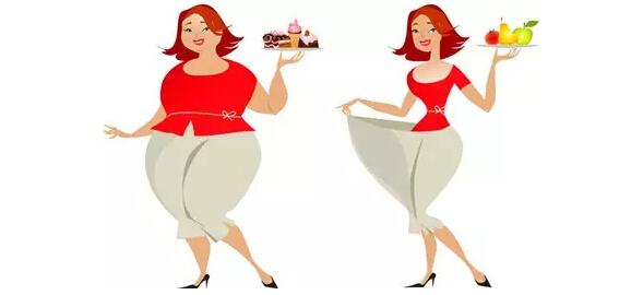 荣格壳聚糖的用途之减肥作用